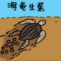 Sea Turtle Laying Eggs (0035) illustration